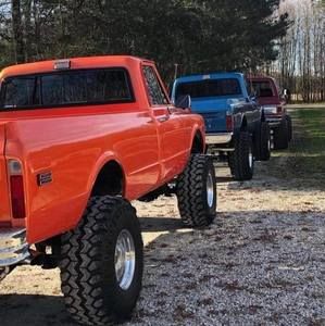 Meet your Posher, Dorinda